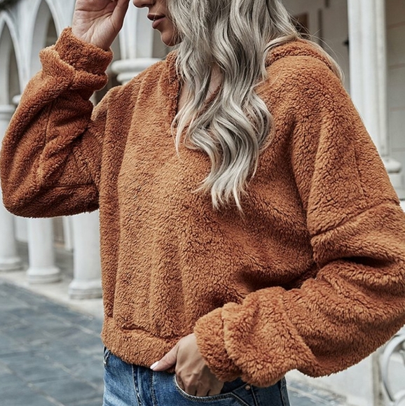 Brown Plush V-Neck Hooded Longsleeve Pullover - Picture 5 of 5